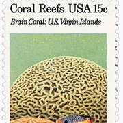 Coral Reefs