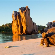 Curieuse Island, Seychelles