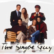 The Single Guy (1995-97)
