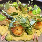 Sea Scallops