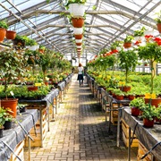 Garden Center