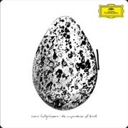 Snorri Halgrimsson - The Importance of Birds