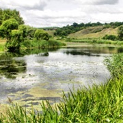 Tsentral'no-Chernozemny Biosphere Reserve, Russia