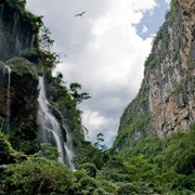Selva El Ocote Biosphere Reserve, Chiapas, Mexico