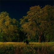 How Close Am I ? Hayd