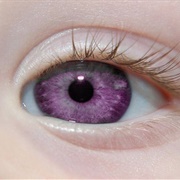 Purple Eyes / Heterochromia Iridis
