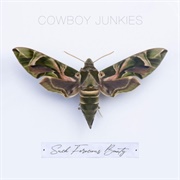 Such Ferocious Beauty - Cowboy Junkies