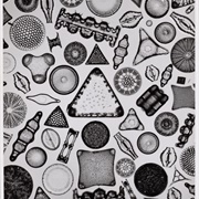 The Archetype of Individuality (Carl Strüwe)