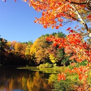 Humaston Brook State Park