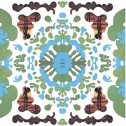 Beaches & Canyons - Black Dice