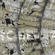 The Galilean Satellites - Rosetta (2005)