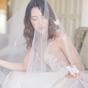 Butterflies Motif on Wedding Veil
