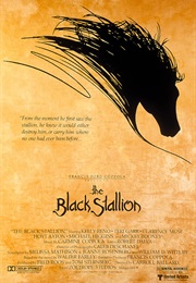 The Black Stallion - Robert Dalva (1979)
