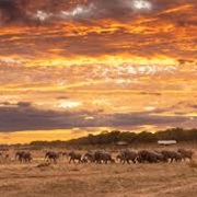 Hwange National Park, Zimbabwe