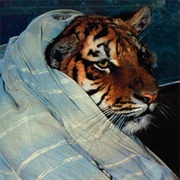 Rich (Homeless) - Thanksgiving