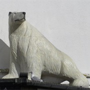 Scoresby's Polar Bear