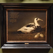 'The Duck Sijctghen'