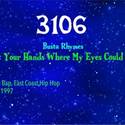 #8175 Put Your Hands Where My Eyes Could See by Busta Rhymes