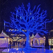 Dresden Christmas Market
