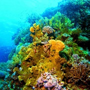 Seven Sisters Dive Site