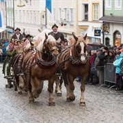 Tölzer Leonhardifahrt