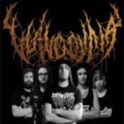 Vulvodynia (South Africa)