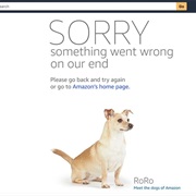 Websites Constantly Crashing for No Reason