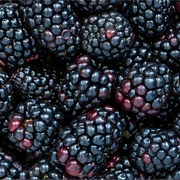 Blackberries