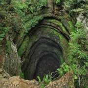 Neversink Pit, Alabama