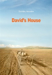 David's House (Dumitru Nicodim)
