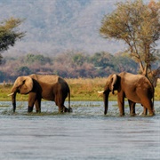 Middle Zambezi Biosphere Reserve, Zimbabwe