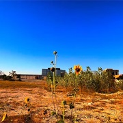 6. the Remains of Valley View Mall (Post-Demolition)