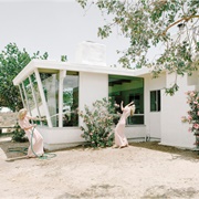 The Garden Hose (Anja Niemi)