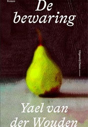 De Bewaring (Yael Van Der Wouden)