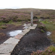 Source of the River Severn
