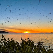Obtawaing Biosphere Reserve, Michigan, USA