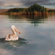 Arjan and Parishan Biosphere Reserve, Iran