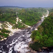 Ipassa Makokou Biosphere Reserve, Gabon