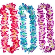 Hawaiian Leis