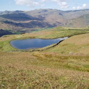Alcock Tarn