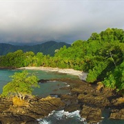 The Pacific Coast of Colombia