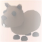 ･､ ᶜᵃᵖʸᵇᵃʳᵃ