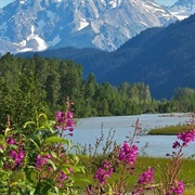 Sullivan Island State Marine Park