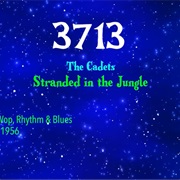 #8331 Stranded in the Jungle by the Cadets