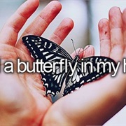 Hold a Butterfly