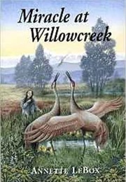 Miracle at Willowcreek