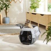 Pet Carrier