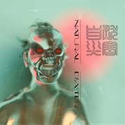 Natural Disaster - Howie Lee