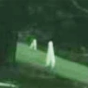 Fresno Nightcrawlers