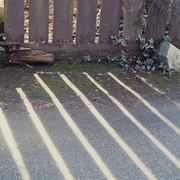 Rose Melberg - Distant Ships